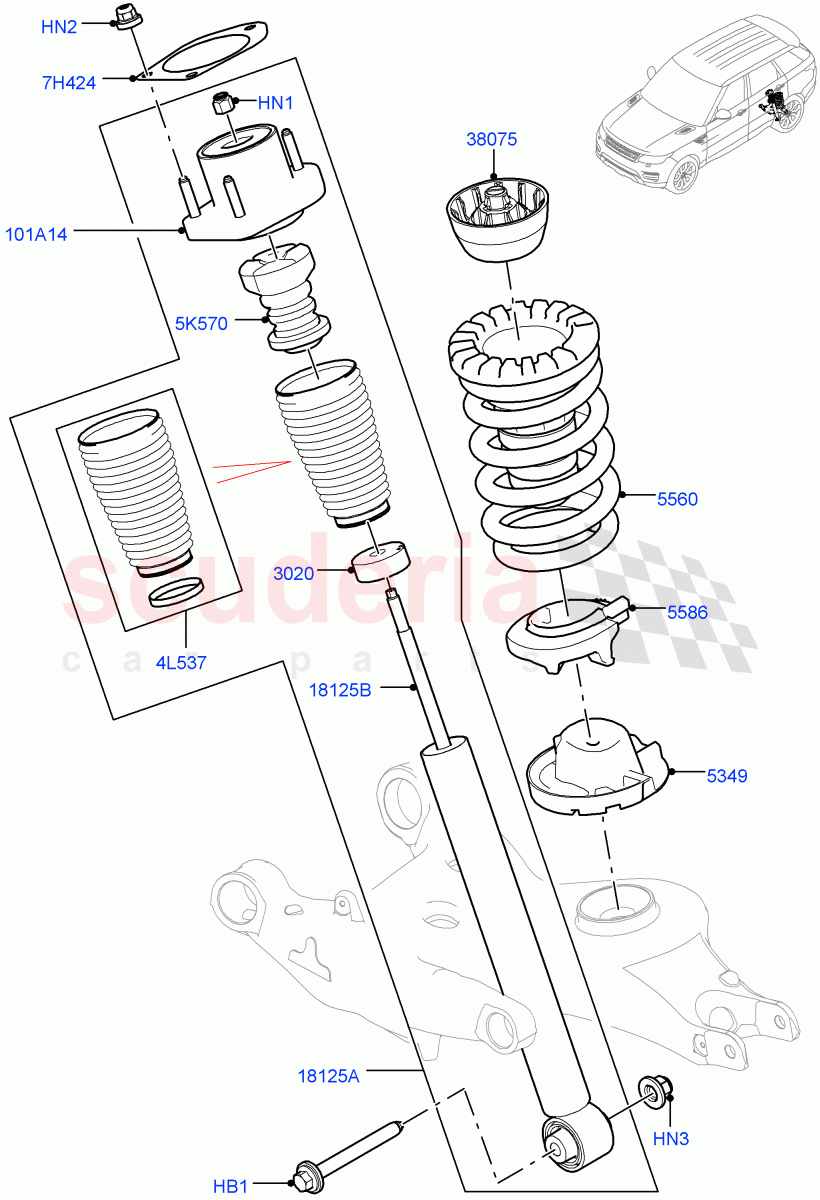 Rear Springs And Shock Absorbers (With Standard Duty Coil Spring Susp) ((V) FROMHA000001) of Land Rover Land Rover Range Rover Sport (2014+) [4.4 DOHC Diesel V8 DITC]