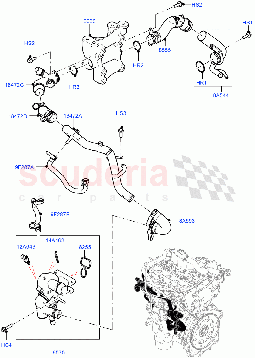 Thermostat/Housing & Related Parts (2.0L AJ20P4 Petrol E100 PTA, Itatiaia (Brazil)) ((V) FROMLT000001) of Land Rover Land Rover Range Rover Evoque (2019+) [2.0 Turbo Petrol AJ200P]
