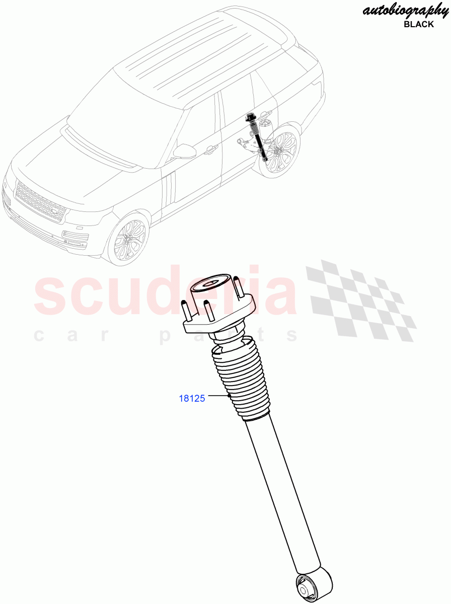 Rear Springs And Shock Absorbers(5.0L P AJ133 DOHC CDA S/C Enhanced,Standard Wheelbase,Brake Calipers - Black,Brake Calipers - Red,5.0L OHC SGDI SC V8 Petrol - AJ133)((V)FROMGA000001) of Land Rover Land Rover Range Rover (2012-2021) [3.0 Diesel 24V DOHC TC]