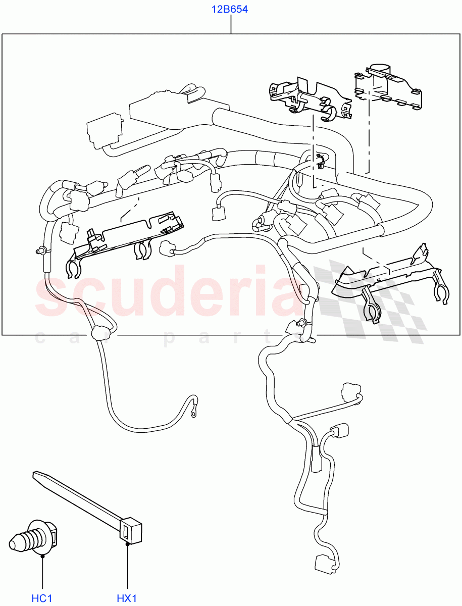 Wiring Clamps (Lion Diesel 2.7 V6 (140KW)) ((V) TO9A999999) of Land Rover Land Rover Range Rover Sport (2005-2009) [4.4 AJ Petrol V8]