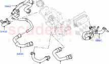 EGR KÜHLSYSTEM (2.0L I4 DSL MID DOHC AJ200, EURO STUFE 4 EMISSIONEN) ((V) FROMHH00…