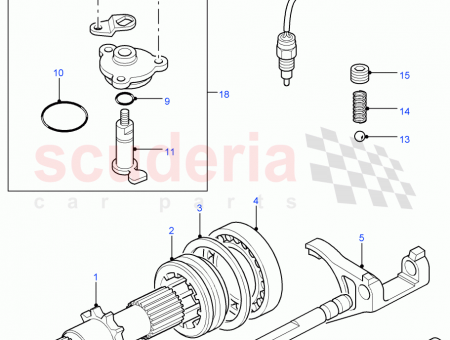 Photo of SCREW…