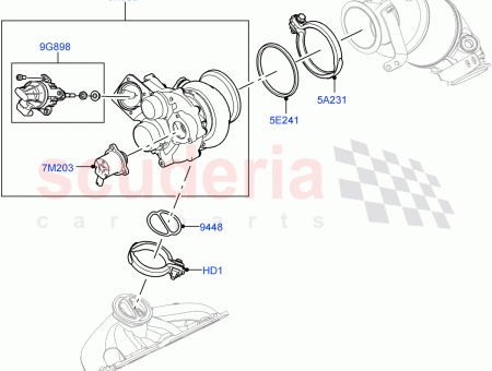 Photo of BET TIGER…
