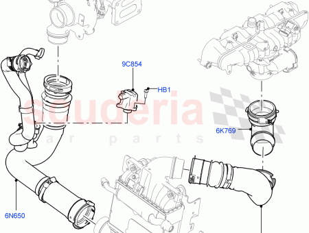 Photo of SCHLAUCH AUSGANG…