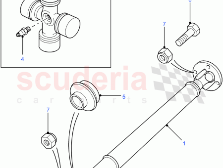 Photo of WELLE HAUPT…