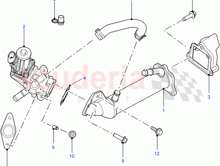 Photo of STECKER BLANKING…
