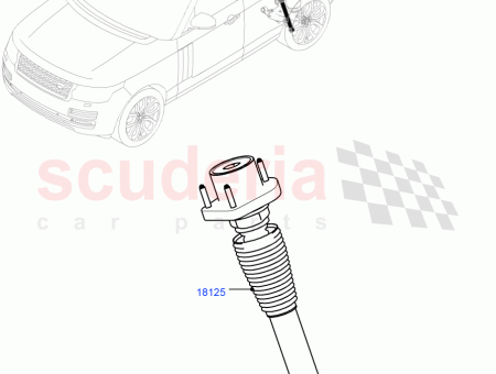 Photo of STOSSD MPFER HINTEN…