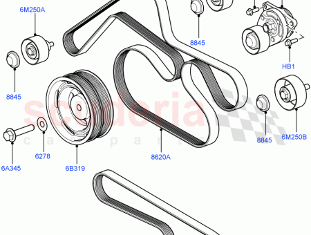 Photo of KEILRIEMEN…