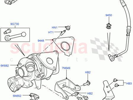 Photo of BET TIGER…